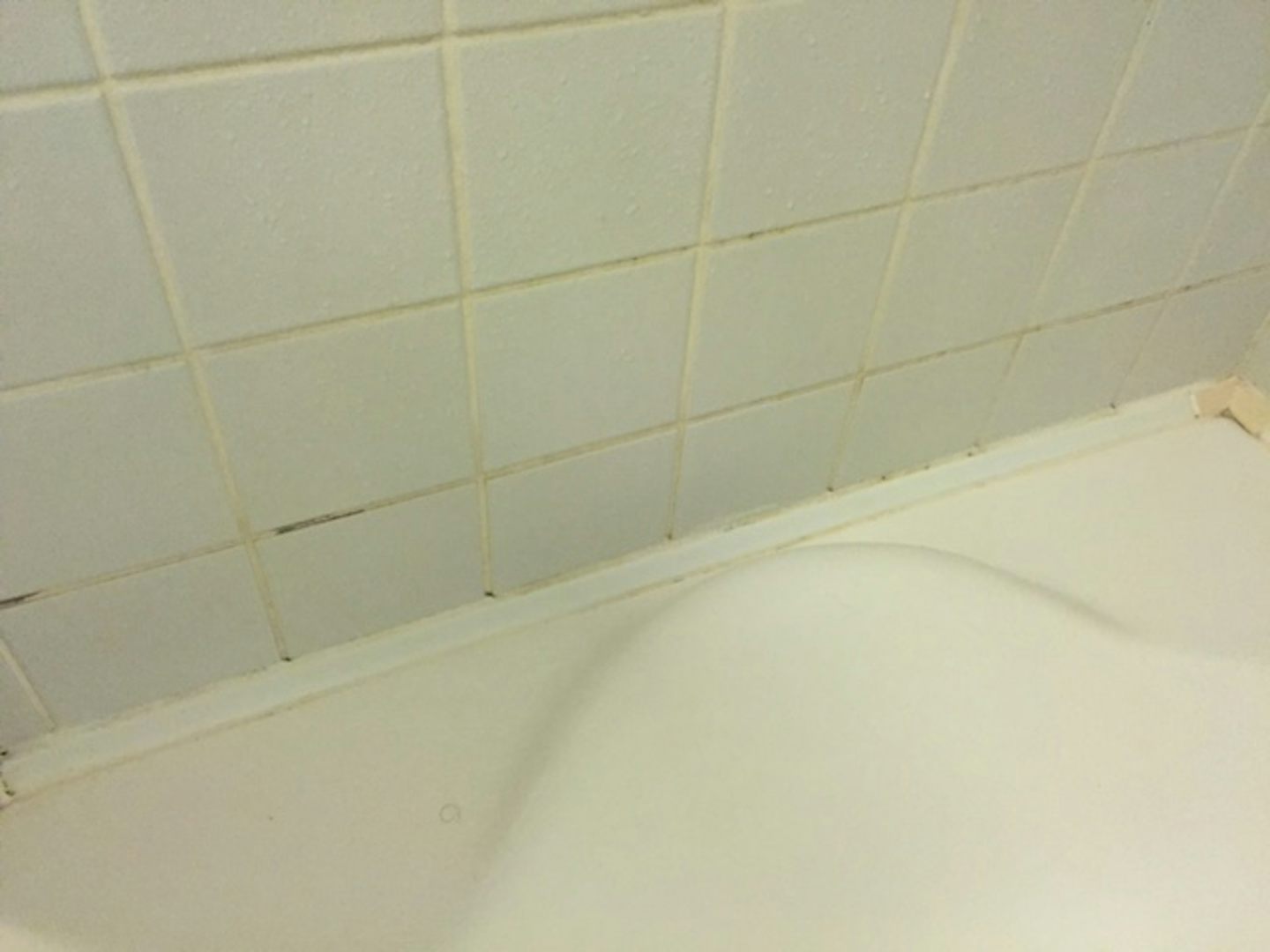Mold/filth in the shower.