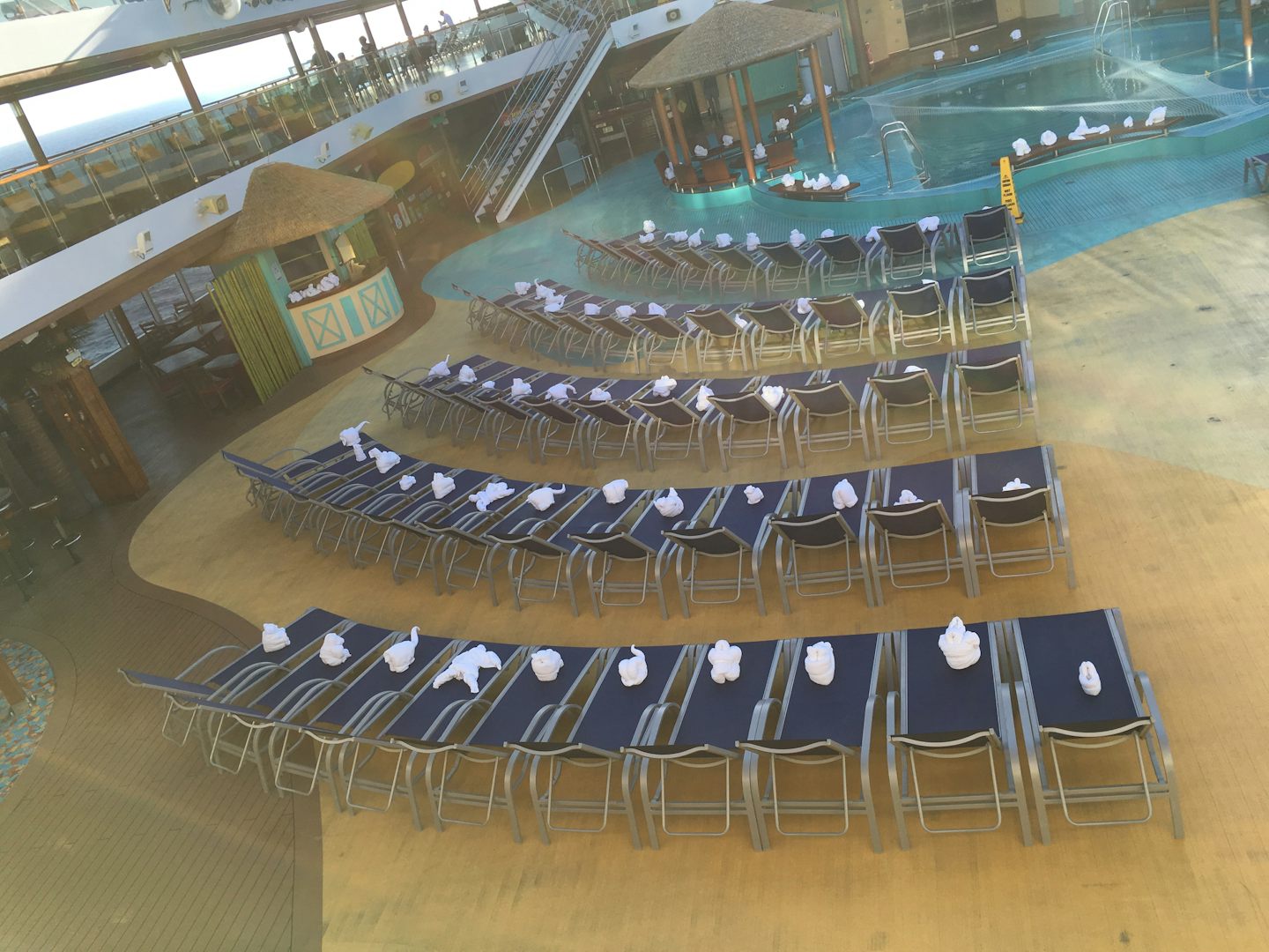 Towel animals taking over the ship