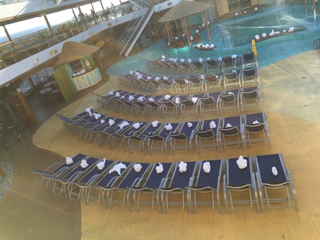 Towel animals taking over the ship