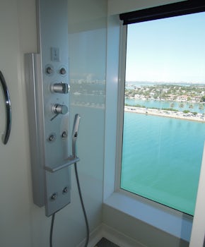 master shower with view