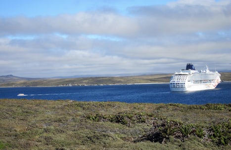 The Sun at anchor in the Falklands