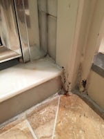 Rust in bathroom and shower door