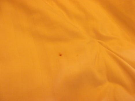What looked like blood on the sheets