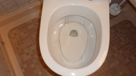 rings and black stains in toilet that could not be cleaned out