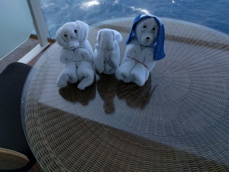 Our suite attendants towel animals