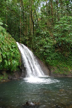 cascade au ecrevisses in Guadeloupe