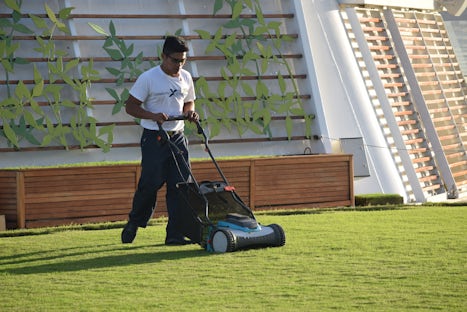 Mowing the lawn...on a ship!