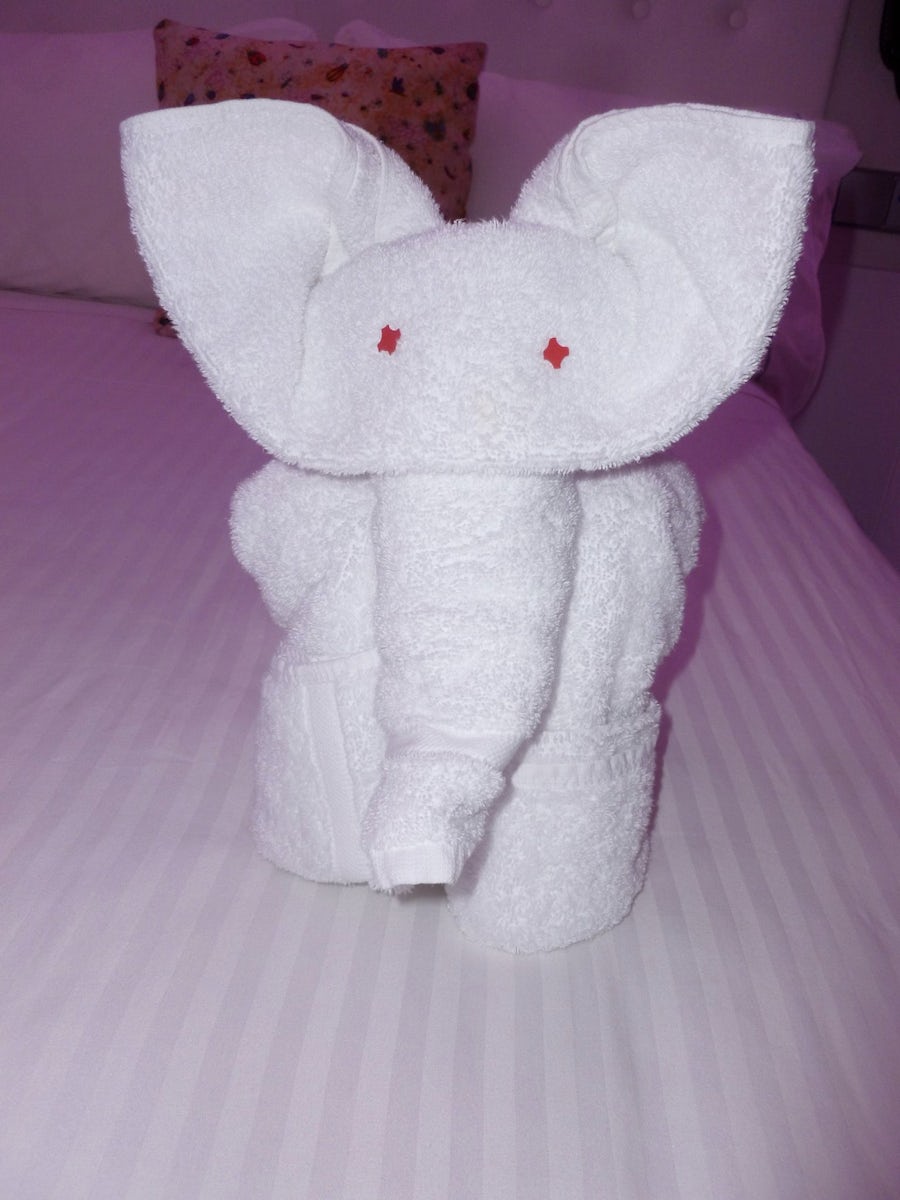 Elephant towel