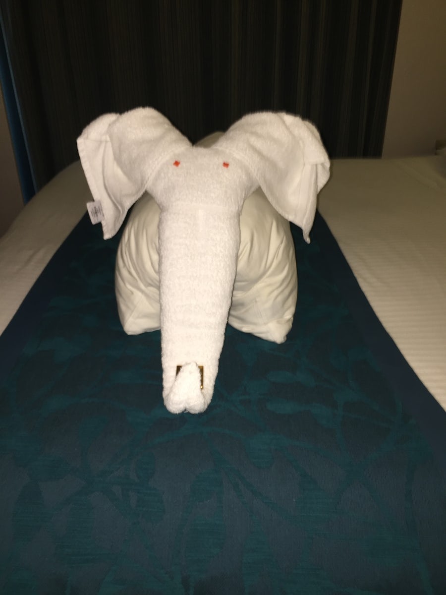 Elephant towel. So cute.