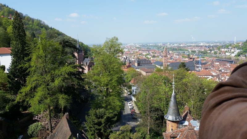 View of Heidelberg from the castle