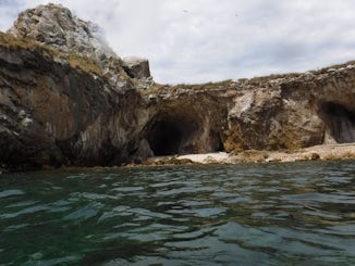 Puerta Vallarta excursion!  We snorkeled at the Marietas Islands.  It was A