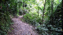 We took the Tobago rain forest reserve & Eco-hiking tour with Randolph.