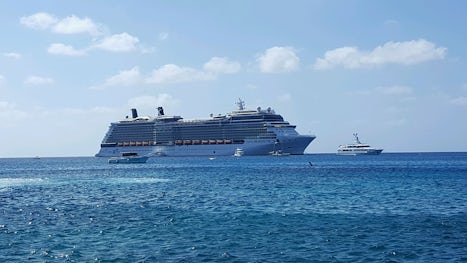 The Magical Celebrity Silhouette! !!