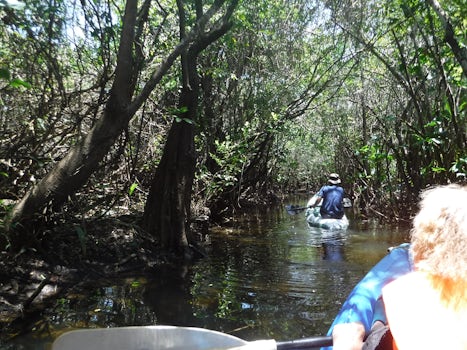 Kayaking through the jungle in Belize