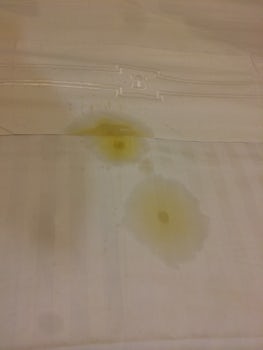 Oil stain on our bed