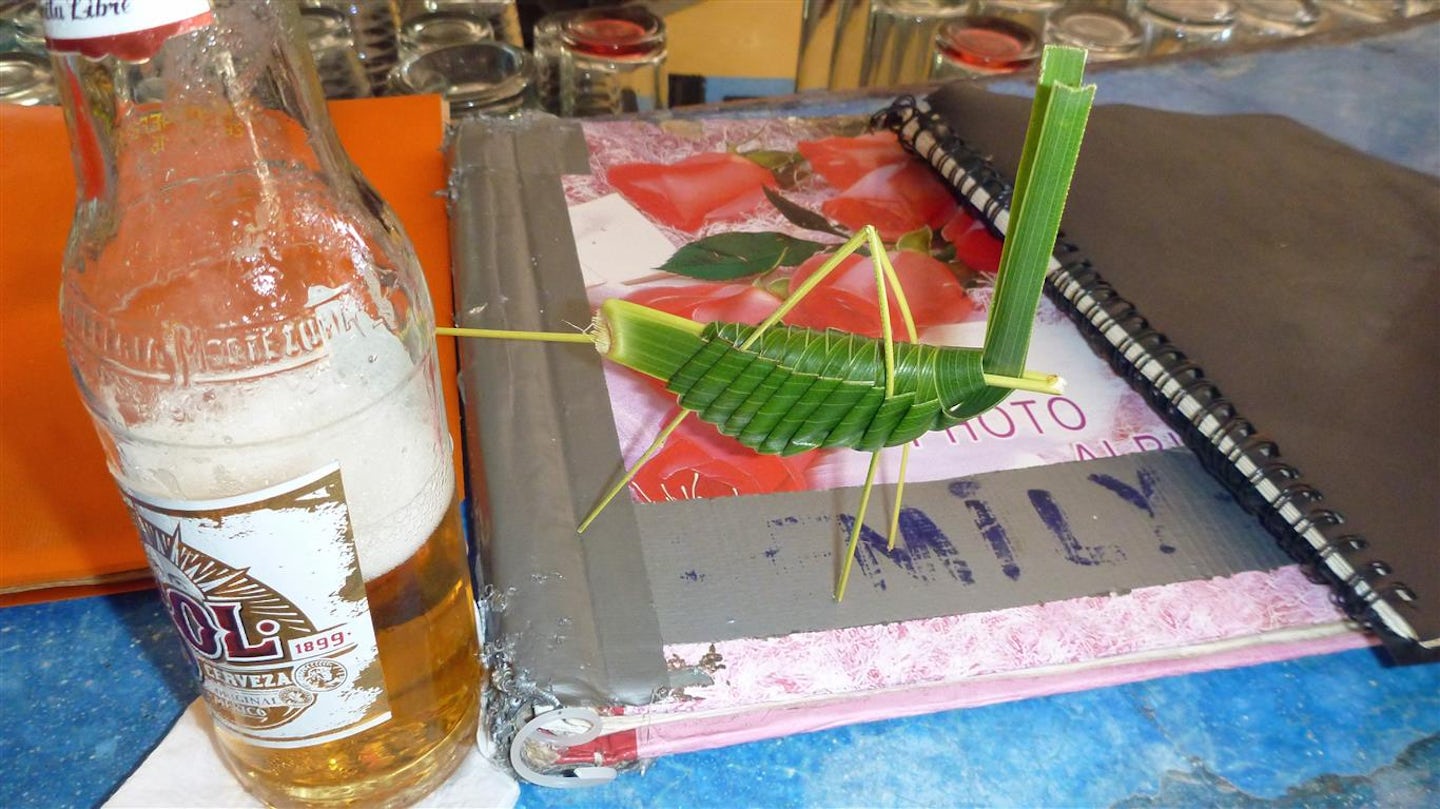 A real grass-hopper quickly made by a resident.