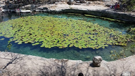 Cenote @ Dzibilchaltun Mayan Ruins