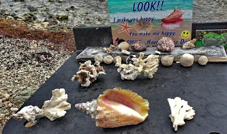 Shells of marine life.