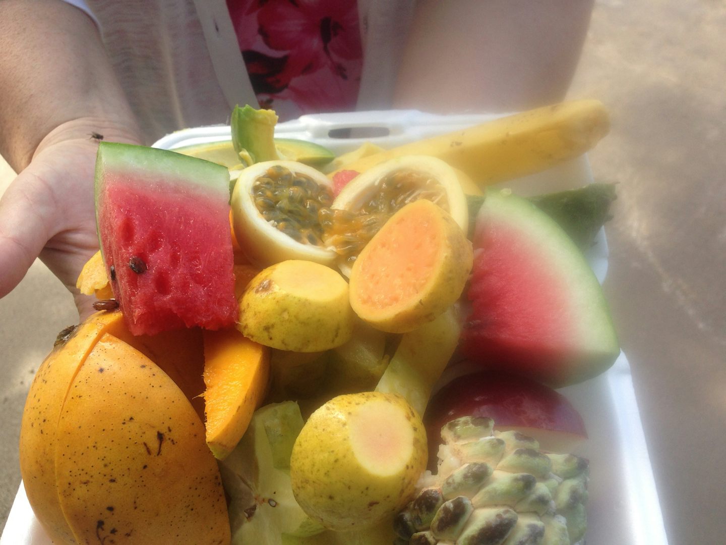 A local on the beach fixed me this huge fruit plate and told us all the nam