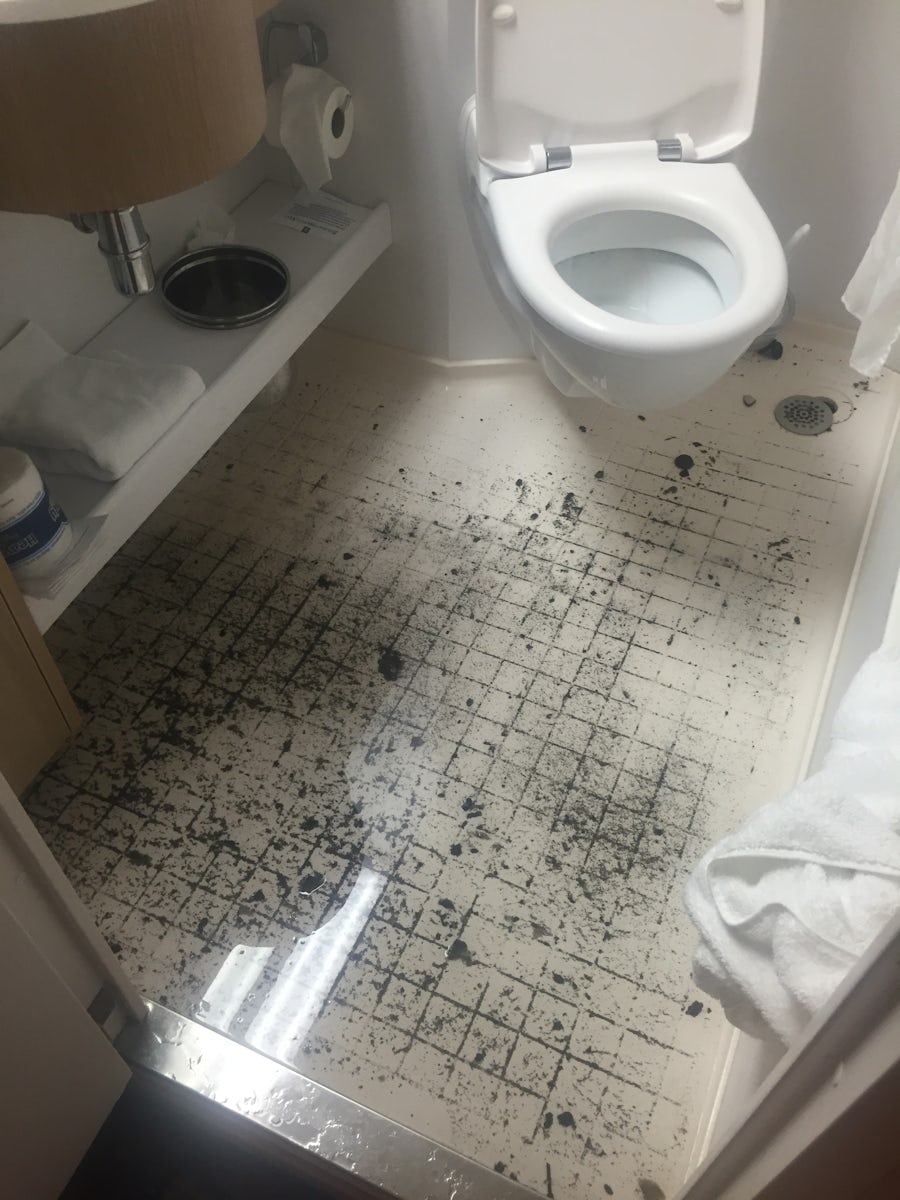 The main bathroom was flooded with dirty, black water with a strong sour smell