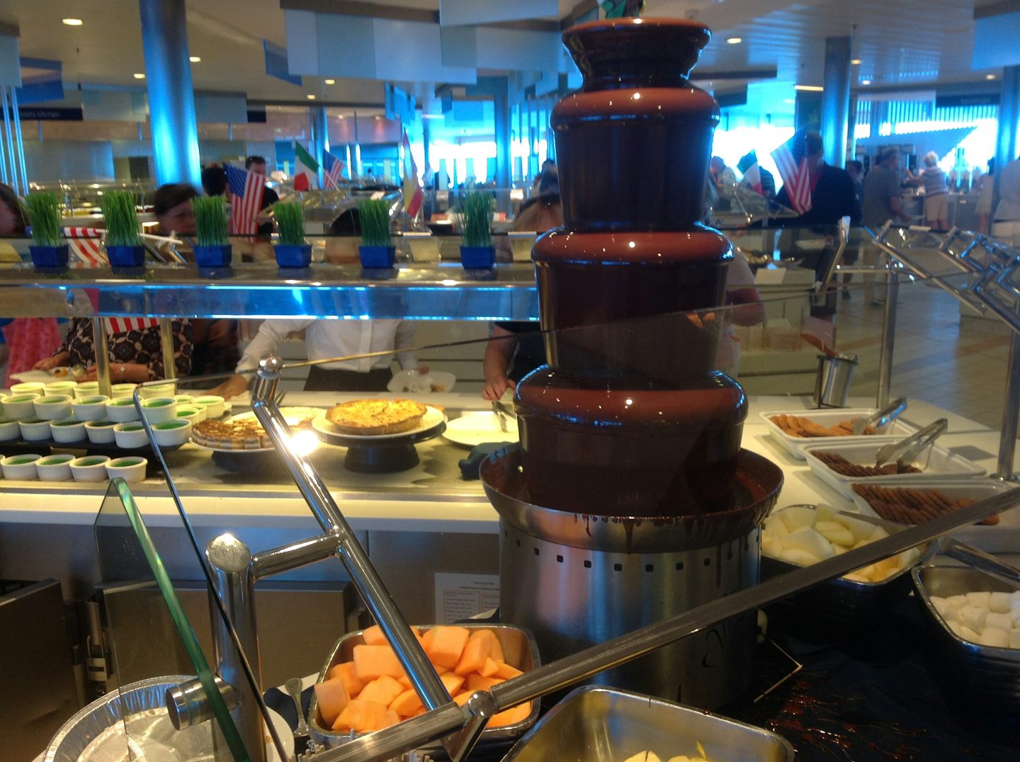 Chocolate fountain with fresh fruits!
