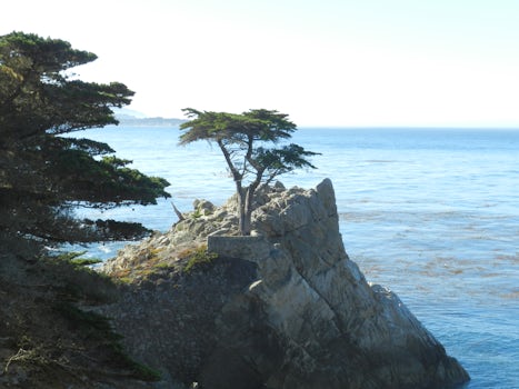 Road trip from Monterey to Carmel