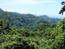 Into the jungle of Costa Rica