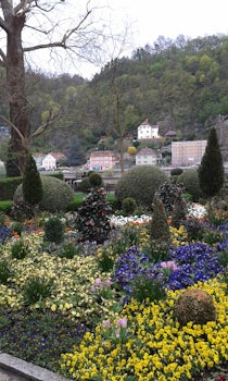 Passau on a rainy day. Didn't expect the blooms in April .