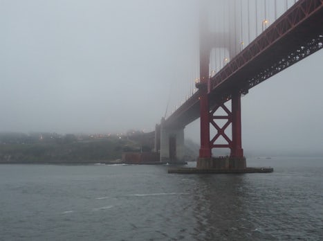 We returned to SF in the 6am morning mist.  Silent.  No whooping, no horns