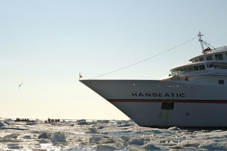 ship dwarfs zodiacs in sea ice
