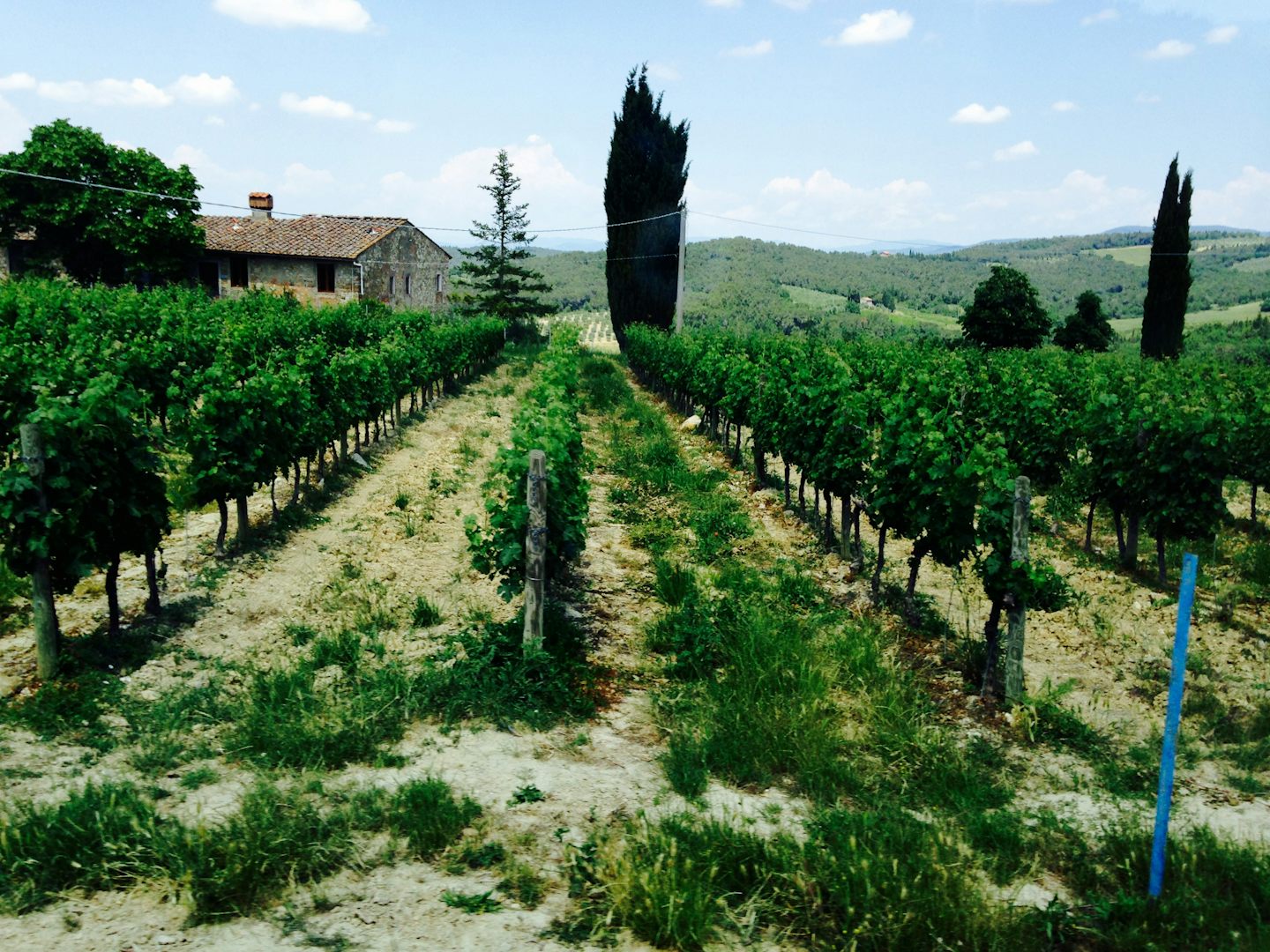 Winery Tour - Italy