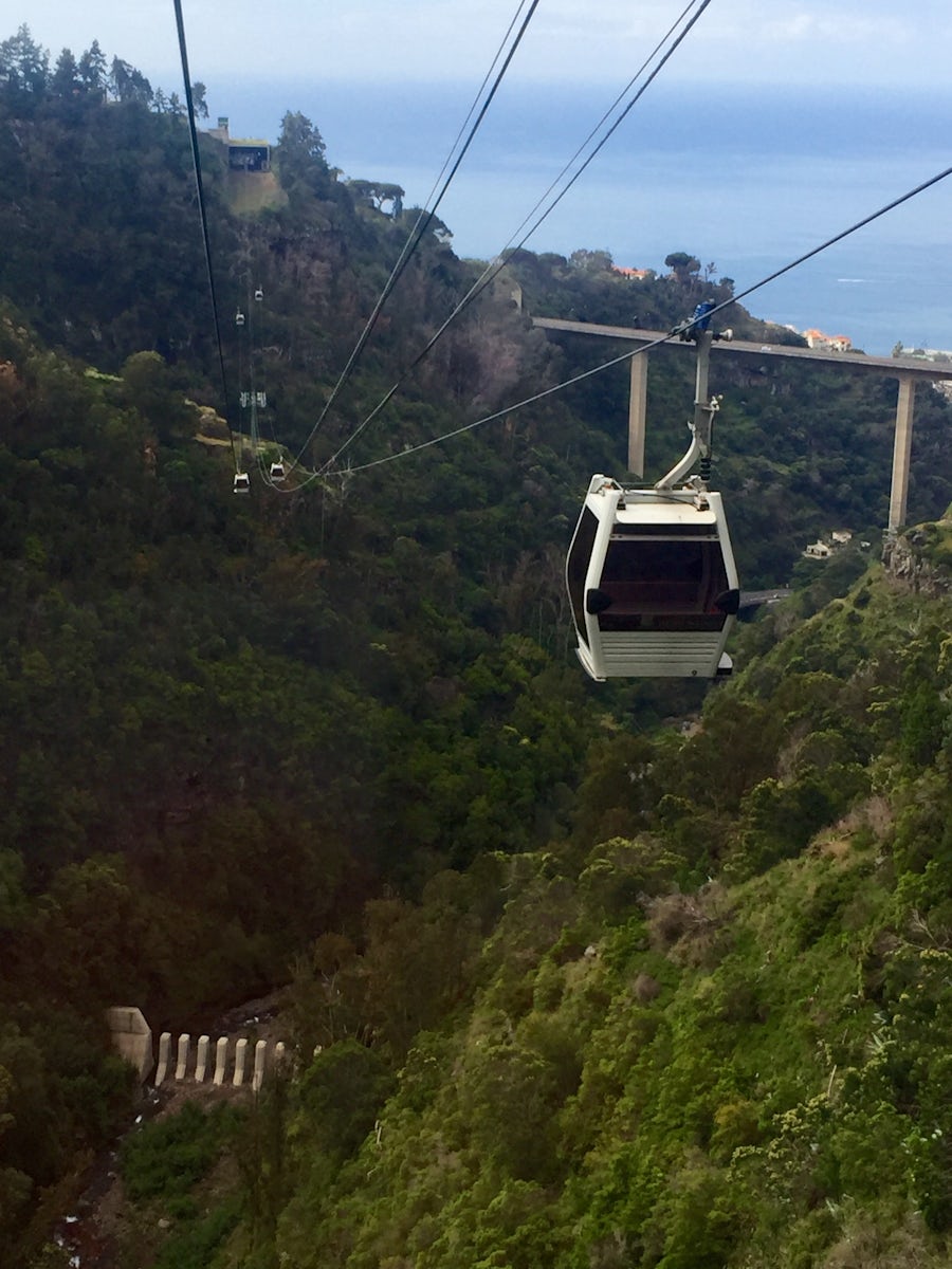 Botanic Gardden Cable Car from Monte to Botanic Garden