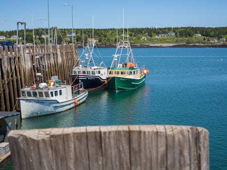 Fishing Village in Saint John's