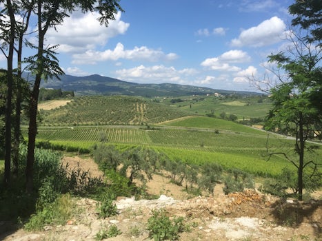 Wine tasting in Tuscany