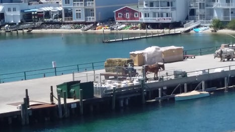 Mackinac Island dock view from room.  Horse drawn hay wagon.