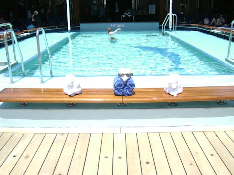 Towel animals at the main pool for embarkation.
