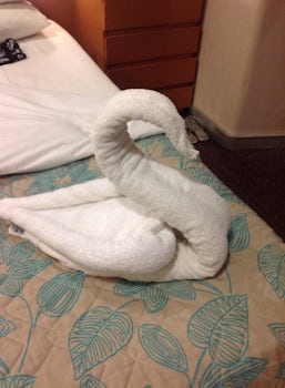 Our stewards often made towel animals.