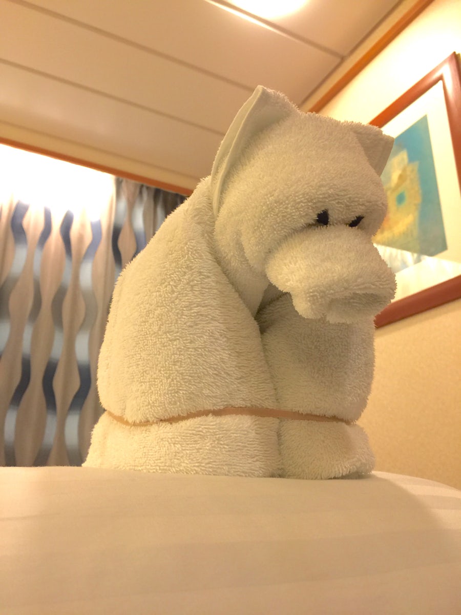 Towel animal "Bear"