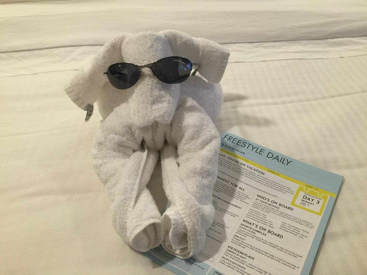 Towel animal left by our room steward.