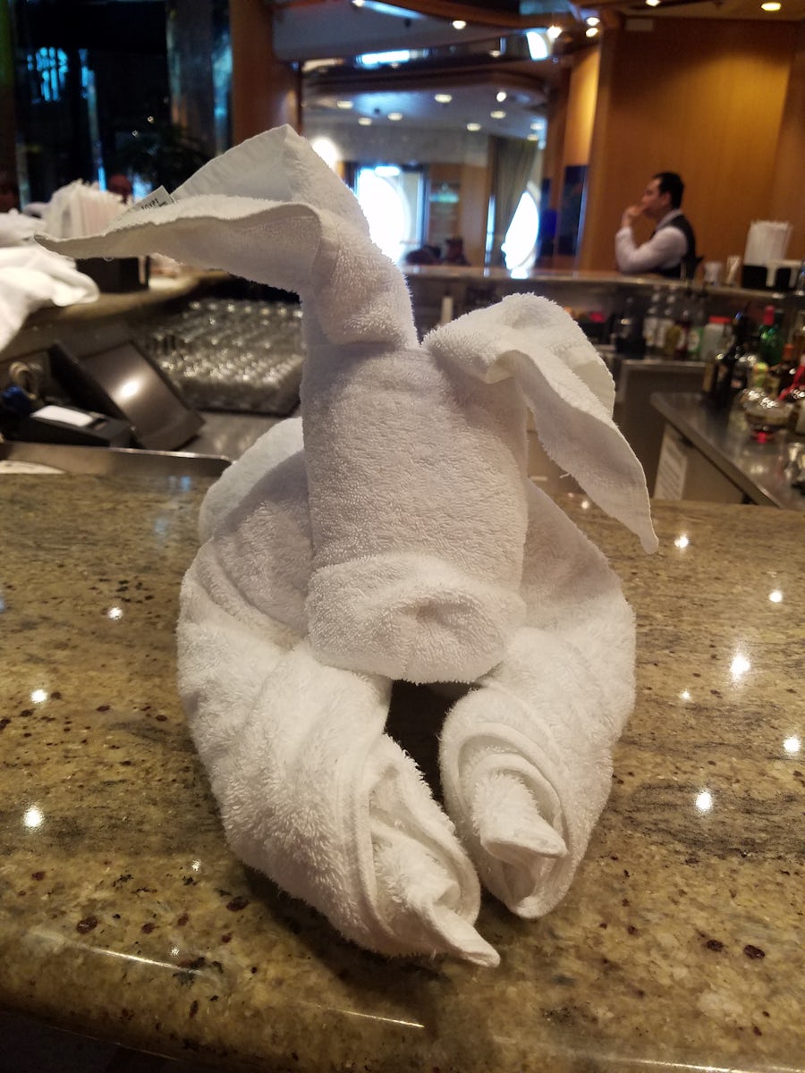 Classic cruise ship entertainment:  towel folding class