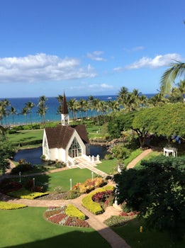 This is a view from a magnificent Resort Hotel on the Island of Maui. I took a beach day excursion. Cruisers are allowed to explore this resort. Rooms begin at $400 a day. Oprah rents the entire hotel a full week every for her friends, family and staff.