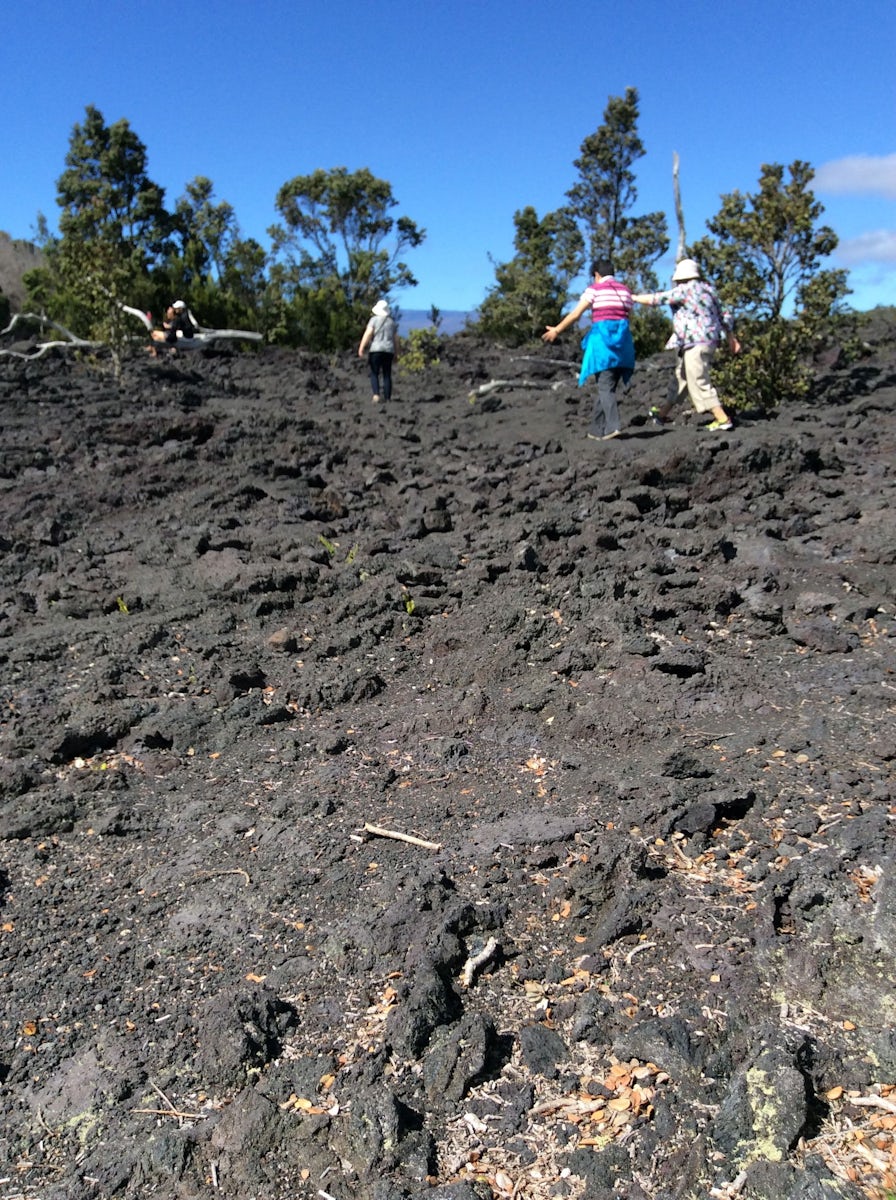 Volcano National Park. This is lava from eruptions. Very sharp and hard to walk on.