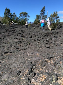 Volcano National Park. This is lava from eruptions. Very sharp and hard to walk on.