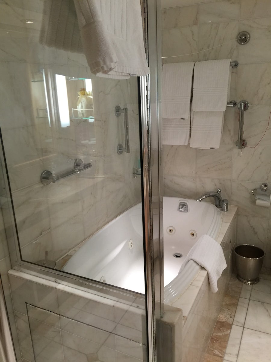 Tub & Shower, window suite F307