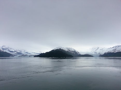 Harvard and Yale Glaciers - College Fjord