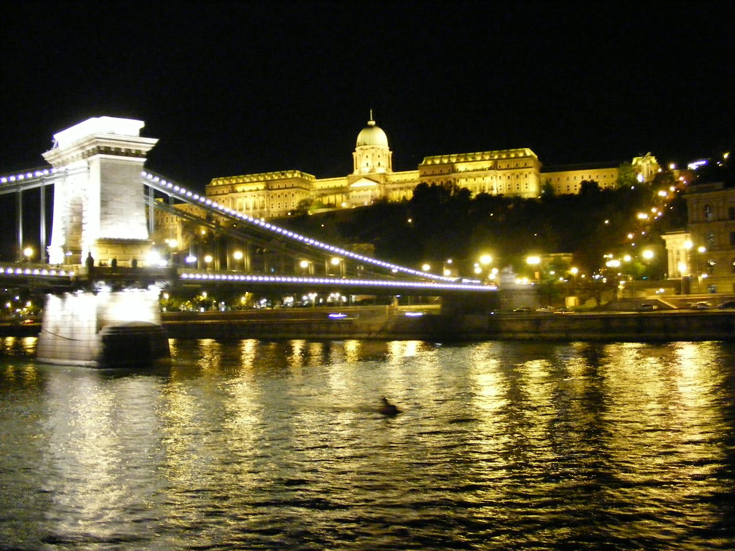 Twilight Cruise in Budapest