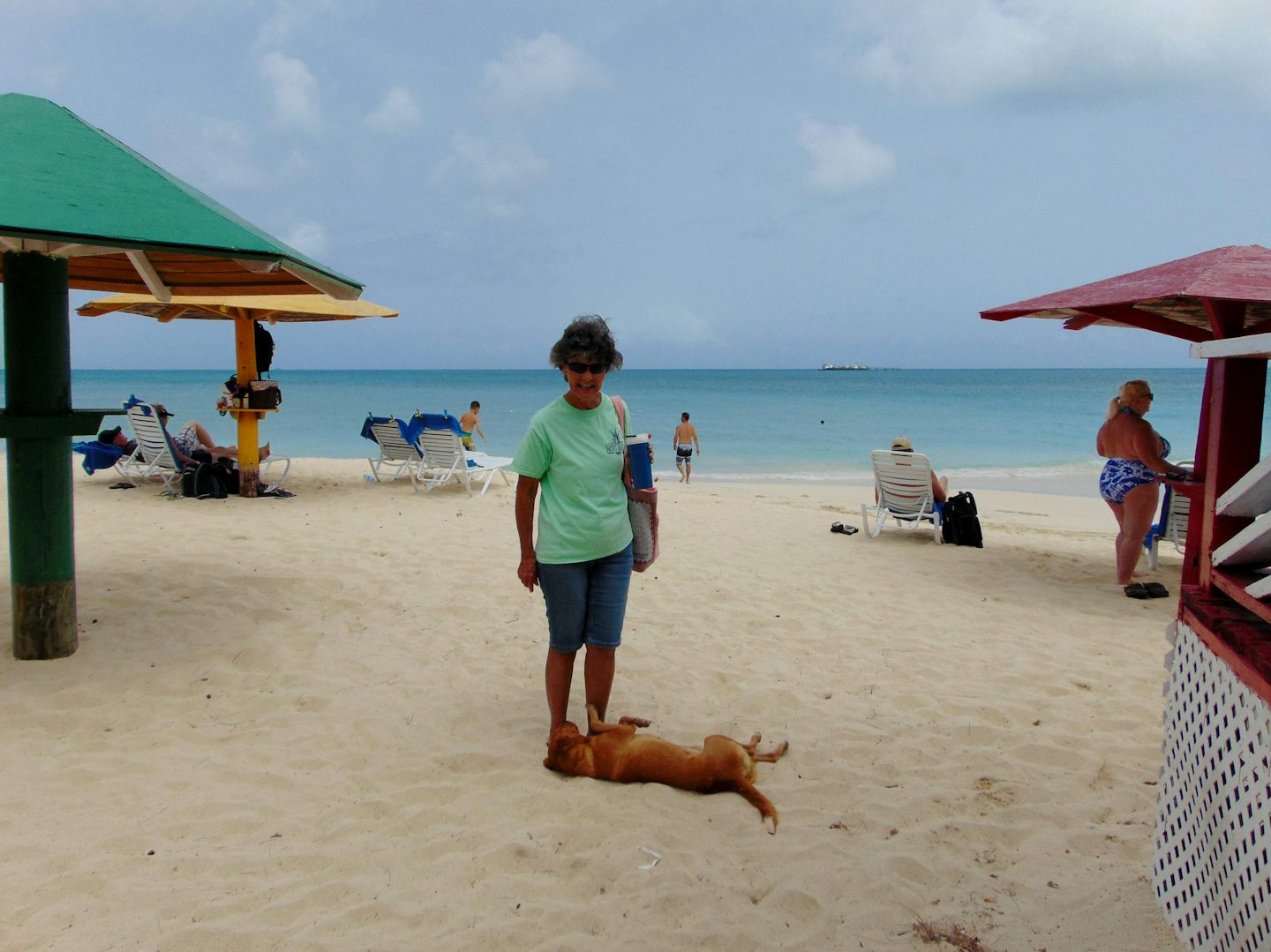 My mom petting the resident stray dog on Runaway Bay, Antigua