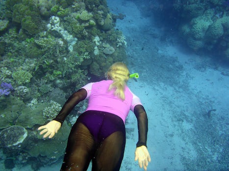 My wife snorkelling.