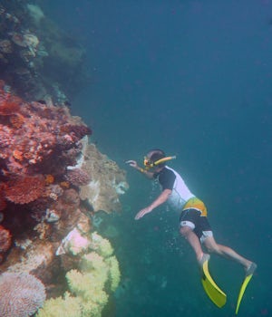 Diving on the reef