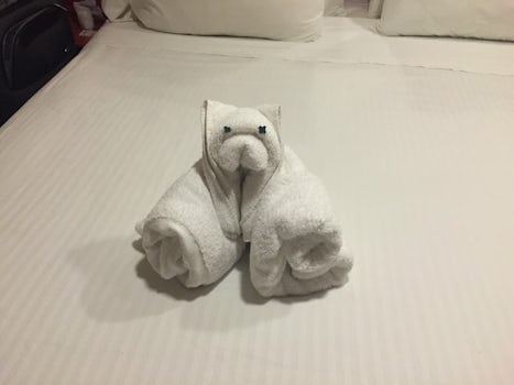 They will make animals out of towels.